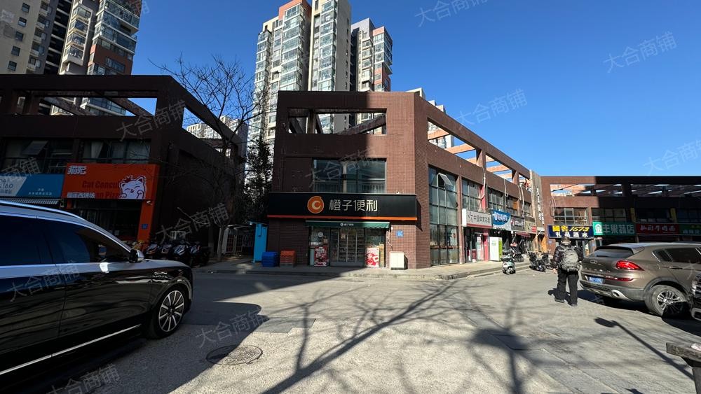 高新区 工业南路 未来城 商业街店铺 76.5m² 325万
